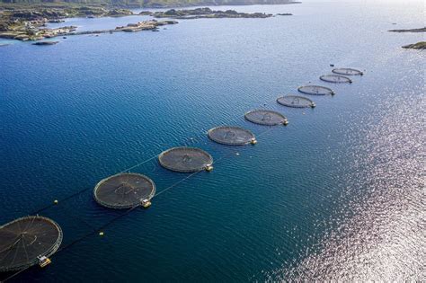 Which Region Uses Fish Farming In India? ~ Fisheries | Aquaculture