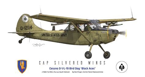 Silvered Wings: Cessna O-1/L-19 Bird Dog 'Black Aces' 0-12114