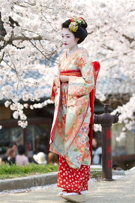 Geiko & Sakura 3 by Sam Ryan | Geisha japan, Japanese geisha, Japan culture