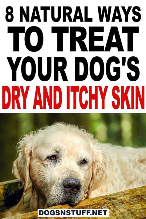 8 Natural Ways to Treat Dry and Itchy Skin in Dogs | Dog dry skin remedy, Dog dry skin, Itchy ...