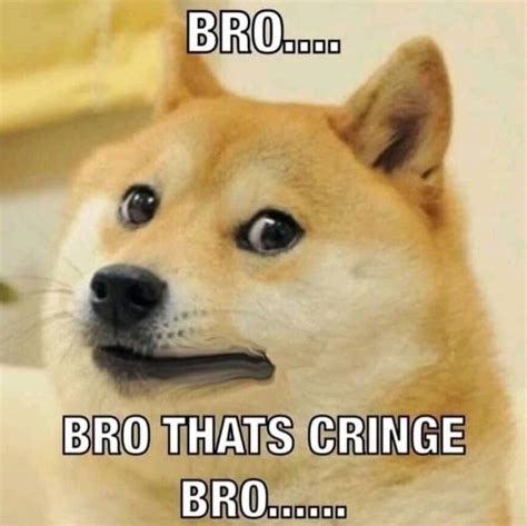 Bro thats cringe bro | Bro! You Just Posted Cringe! | Know Your Meme