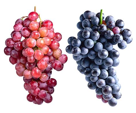 Tips About Using Grapes and Raisins | Cook for Your Life