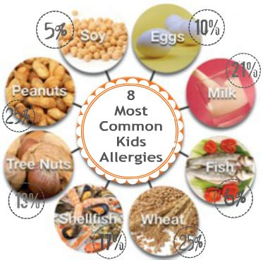 How Common Are Kids Food Allergies? - Burnt Apple