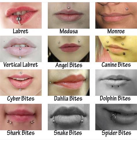 Pin by Michelle Parsons on bling bling :) | Lip piercing, Piercings ...