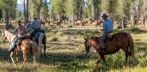 Triangle X - Dude & Guest Ranch Vacations in Jackson Hole, Wyoming