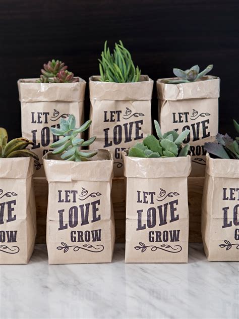 OMG, These DIY "Let Love Grow" Succulent Wedding Favors Are The Cutest!