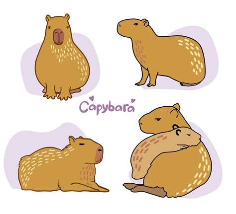 Set of cute Capybara. Vector color illustration of capybara. Drawing of ...