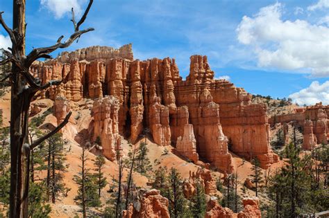 Hoodoos on Fairyland Loop Trail