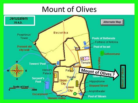 Mount Of Olives Map