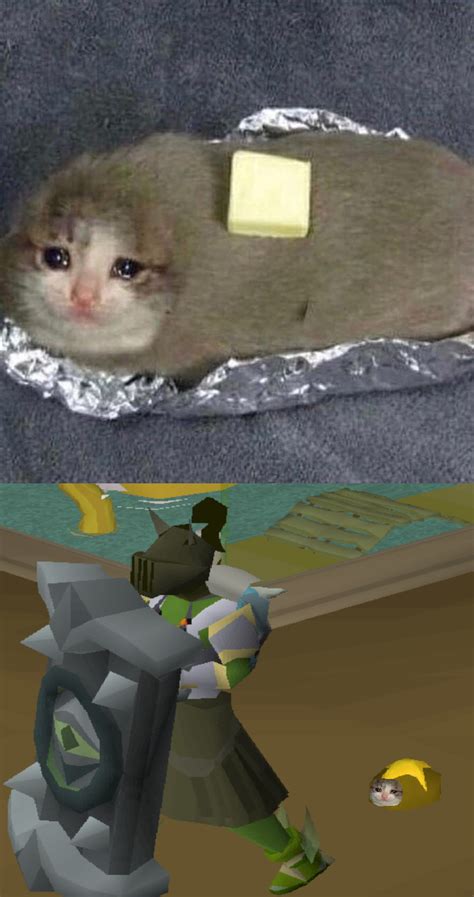 Petition to add this as a pet to OSRS : r/2007scape