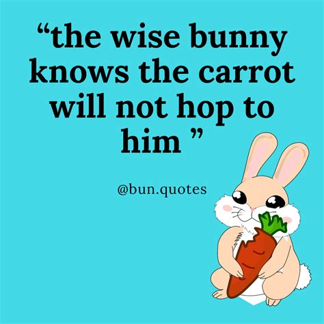 funny bunny quotes | Bunny quotes, Funny quotes, Funny bunnies