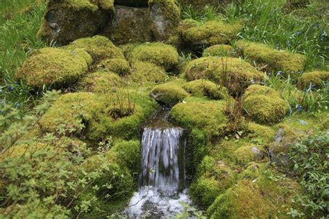 A water feature is common in Japanese gardens. Waterfalls bring motion and sound to the spa ...