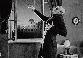 Nosferatu 1922 GIFs - Find & Share on GIPHY