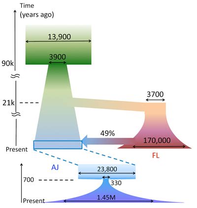 Study Sheds Light on Ashkenazi Jewish Genome and Ancestry | Columbia University Department of ...