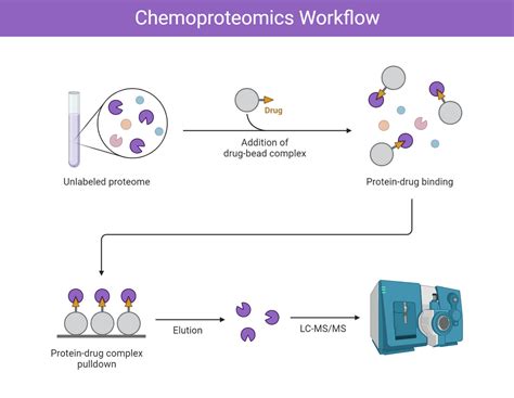 Proteomics: Types, Methods, Steps, Applications