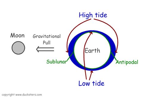 Earth Science for Kids: Ocean Tides