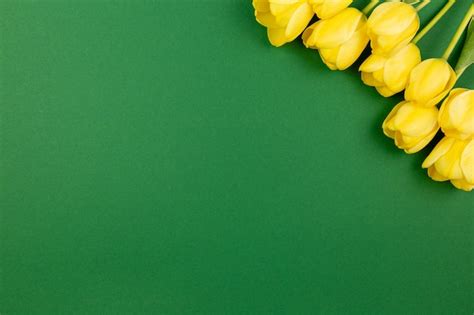 Premium Photo | Yellow tulips flowers on dark green surface