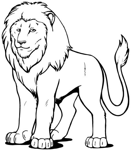 Free Lion Outline Cliparts, Download Free Clip Art, Free Clip Art on ...