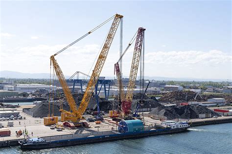 Liebherr crawler crane tandem lift ⋆ Crane Network News