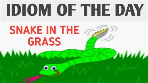 Idiom : Snake in the grass - YouTube