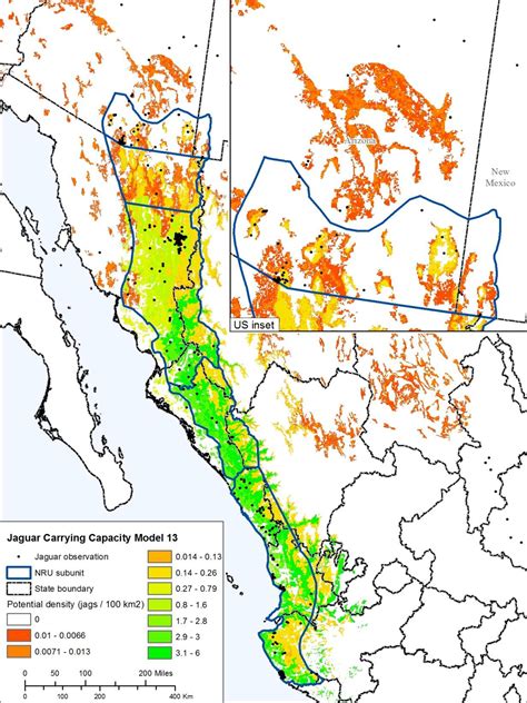 Northern jaguar habitat