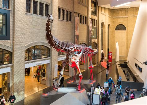 Best Museums for Kids in Toronto - Wherever Family