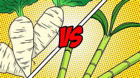 What's lighter on the land, sugar beets or sugarcane? | Grist