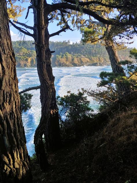 Mendocino Hiking and Views - A Different Kind of Travel
