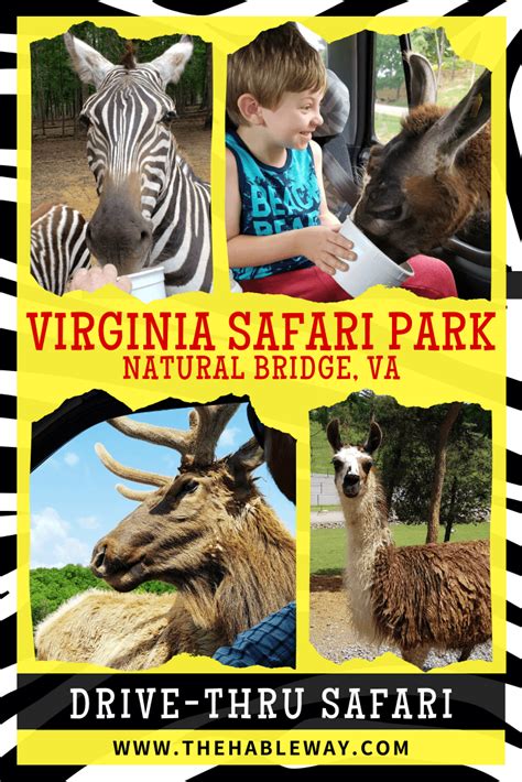 Virginia Safari Park | The Hable Way