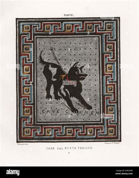 Mosaic of a guard dog on a chain from the Casa del Poeta Tragico, House of the Tragic Poet ...