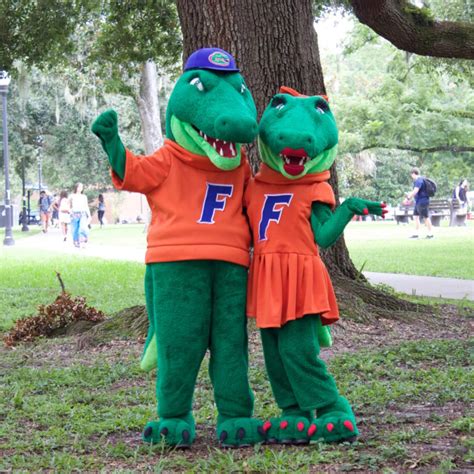 UF mascots are not ‘celebrities’ when it comes to lawyer advertising ...