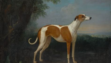 It's a Dog's Life: Canine Portraits & Scenes from Old Master Paintings | Old Master Paintings ...