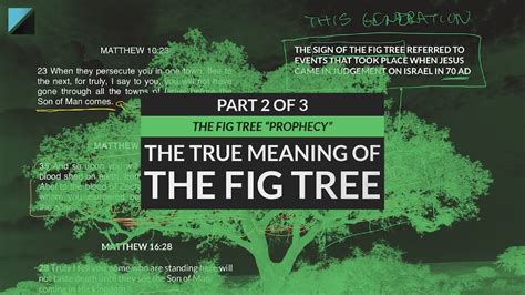 Part 2 | The Fig Tree Prophecy | Ahnsahnghong & WMSCOG Refuted - YouTube