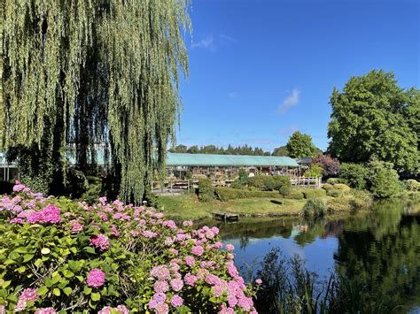 Lakeside Garden Centre | Looking towards the building of the… | Flickr