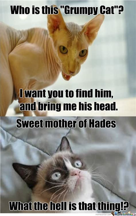 35 Most Funniest Grumpy Cat Memes On The Internet