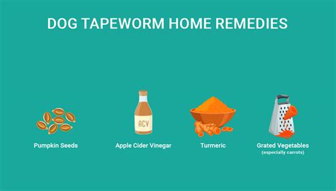 Dog Tapeworm Home Remedies: 4 Safe Options – Top Dog Tips