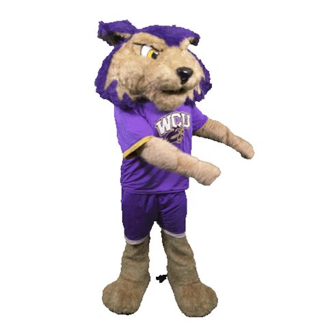 Wcu Catamounts Sticker by Western Carolina University for iOS & Android ...