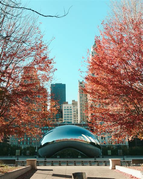 Chicago Architecture Cruises & Tours (2024 Ultimate Guide) - City Cruises