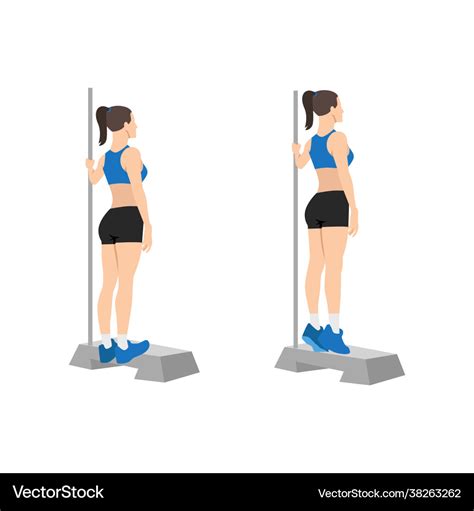 Woman doing bodyweight calf raises exercise Vector Image