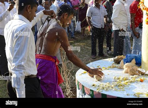 Sadhu performing Puja and breaking coconut, Konkan, Maharashtra, India ...