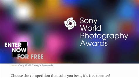 The Best Photography Contests in 2022 (Updated)