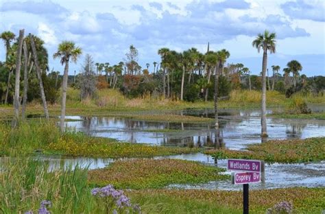 Orlando Wetlands Park