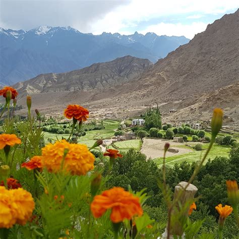 Hiking the High Monasteries of Ladakh