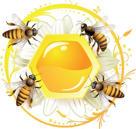 Honeycomb clipart bee pollination, Honeycomb bee pollination ...