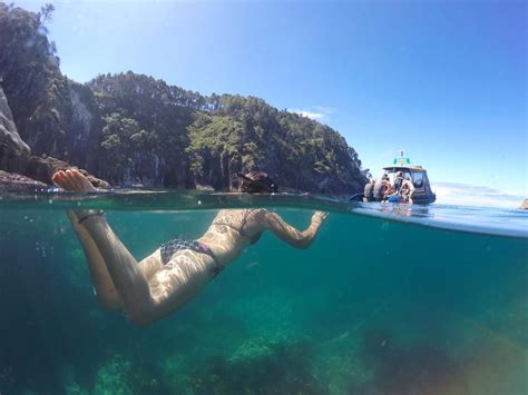 2hr Cathedral Cove Tour - Glass Bottom Boat Whitianga Reservations