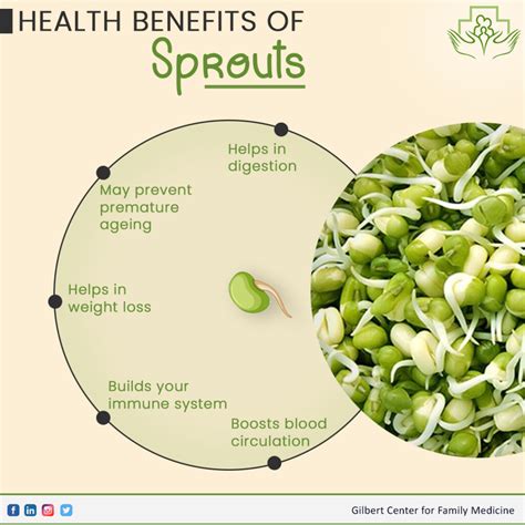 Health Benefits of Sprouts - Gilbert Center