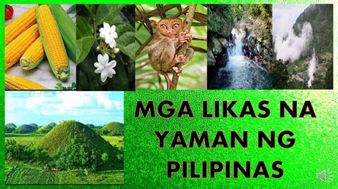 Likas Yaman Ng Pilipinas - Image to u