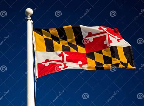 Maryland State Flag stock photo. Image of statehood, wind - 1492920