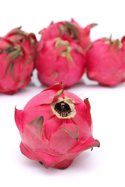 Red Dragon Fruit stock image. Image of tropical, colorful - 10674129