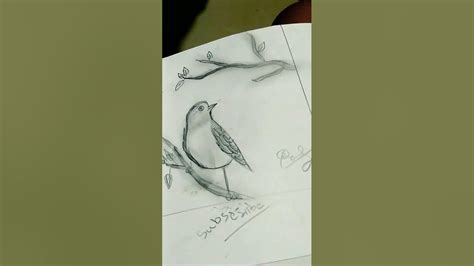 atd drawing finix bird 🐦🐦🐦 😂 atd MAKKALE - YouTube